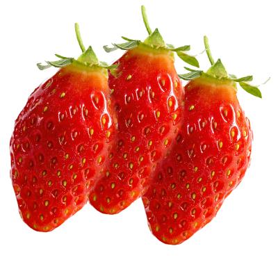 Aardbei Gariguette