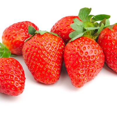 Aardbei 'Gento'