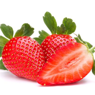Fragaria 'Korona' 