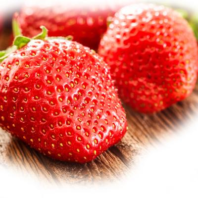 Fragaria Magnum 6-pack