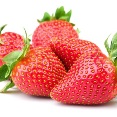 Fragaria 'Mara des Bois'