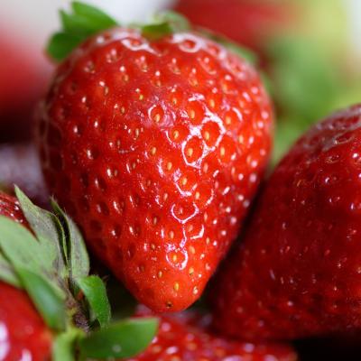 Aardbei 'Ostara'