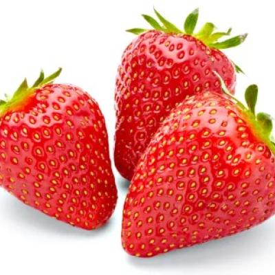 Fragaria 'Selva'  6-pack
