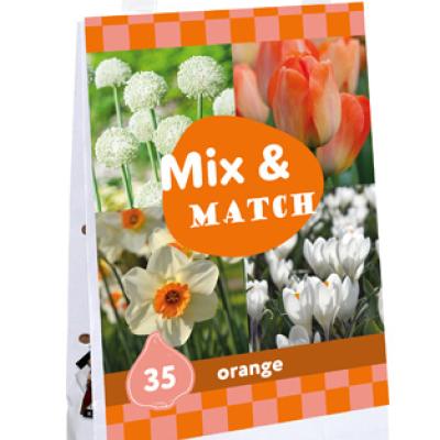 1 TAS MIX & MATCH ORANGE I
