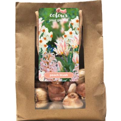 1 TAS 25 COLOUR YOUR GARDEN PEACH BLUSH I