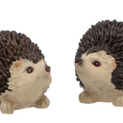 HEDGEHOG POLY SMALL ASS P/1