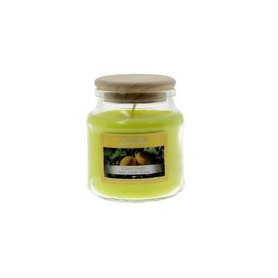 BGIE VEG. CIRE COLOREE CITRON BASILIC