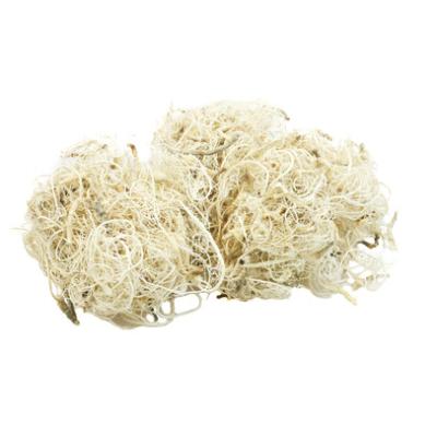 CURLY MOSS 40gr GEBLEEKT