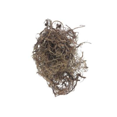 CURLY MOSS 40gr NATUREL