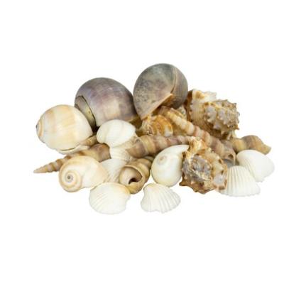 SCHELPEN MIX 1kg
