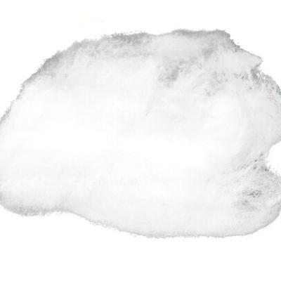 POLY VEZEL 30gr Wit/blanc
