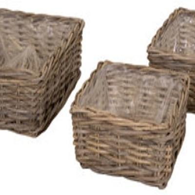 Evi Square Low Basket -SP- 