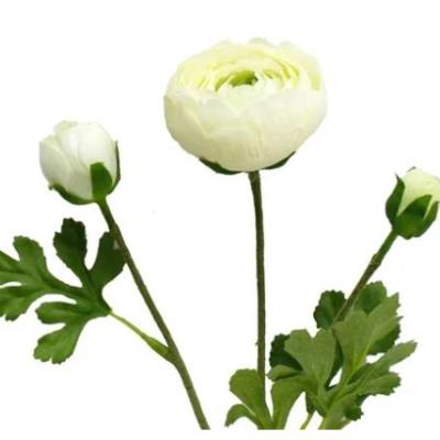 RANUNCULUS 3 HEADS REAL TOUCH