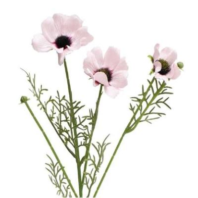 Chrysanthemum  3D real touch 