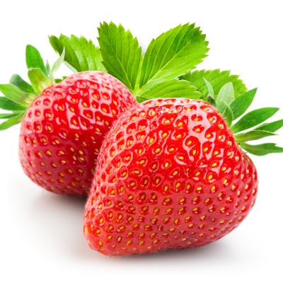 Fragaria 'Darselect'  