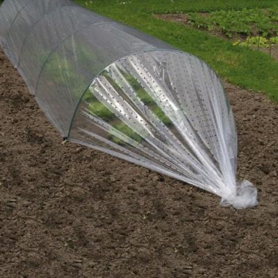 Moestuinfolie geperforeerd 50 µ 
