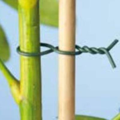 Binddraad geplastif. groen  50 M.