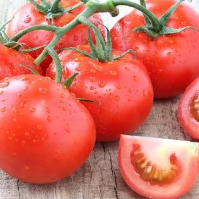 Trostomaat  F1 / Tomate à grappes