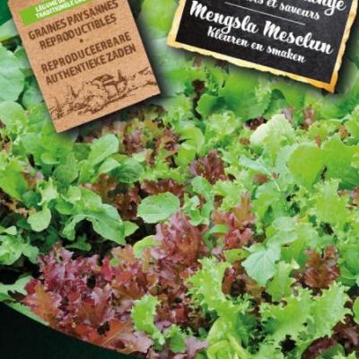 Mengsla Mesclun