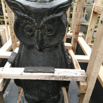 Basaniet -Owl little owl