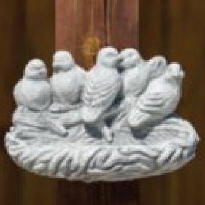 Beton - Vogels
