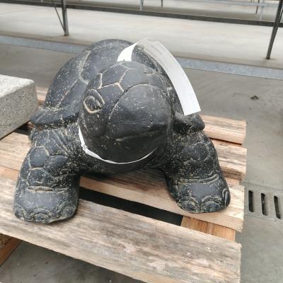 Basaniet - Landturtle