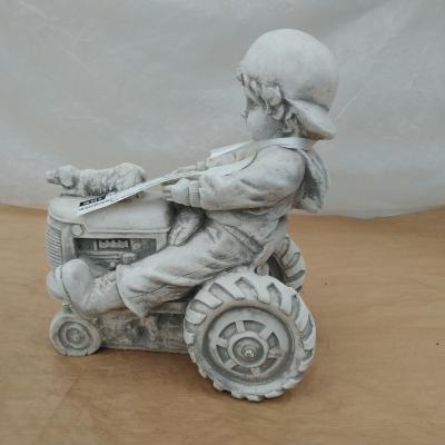Witsteen jongen op tractor D50 - H 23 cm - 8 Kg