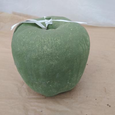 Witsteen Appel G19 / Pomme   H 18 cm  6 Kg