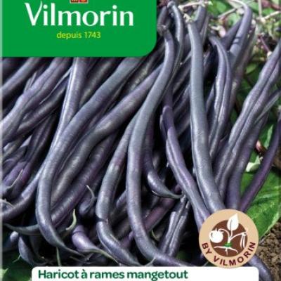 Staakboon Melissa 30g