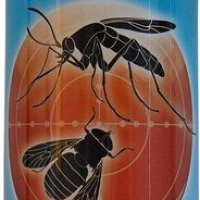 Elizan Spray Vliegende insekten 400 ml