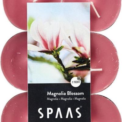 Geurtheelichten Spaas Maxi - Magnolia Geurtheelichten Spaas Maxi - Magnolia