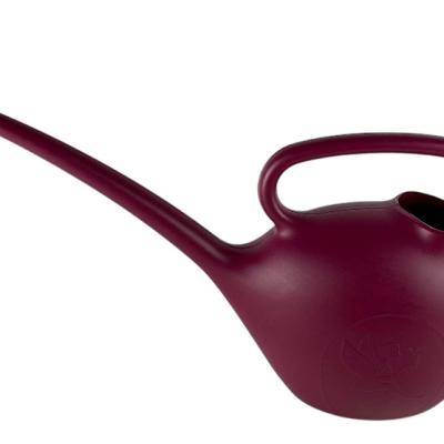 Gieter paars met lange teut - Arrosoir long bec