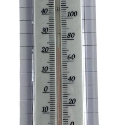 Thermometer groot plastiek