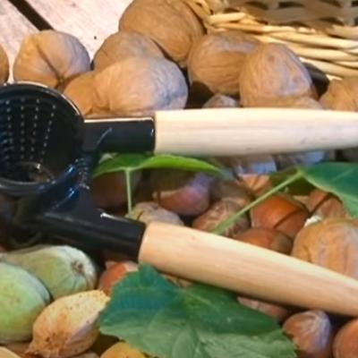 CASSE NOIX MALIN - SLIMME NOTENKRAKER