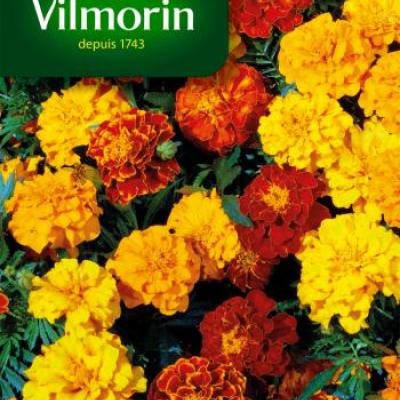 Tagetes (Afrikaantjes) Dubbel Dwerg Gemengd