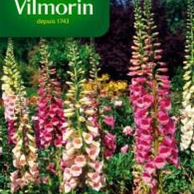 Vingerhoedskruid (Digitalis) Excelsior Gemengd