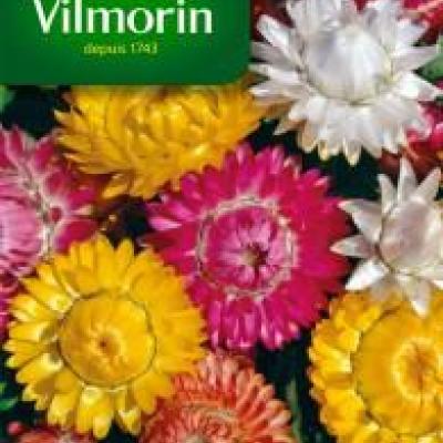 Strobloem Dubbel Gemengd