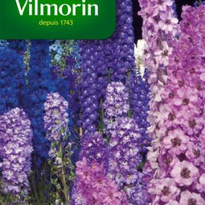 Ridderspoor Delphinium Doorlevend Gemengd