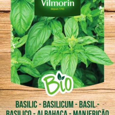 Basilicum Grand Vert BIO