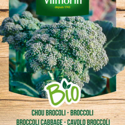 Broccoli Calebrese Natalino BIO