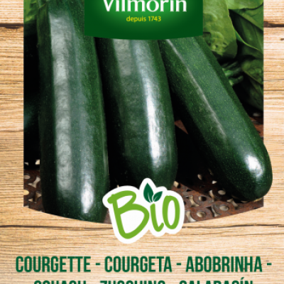 Courgette Verte noire maraîchère BIO