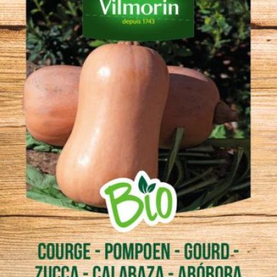 Pompoen Waltham Butternut BIO