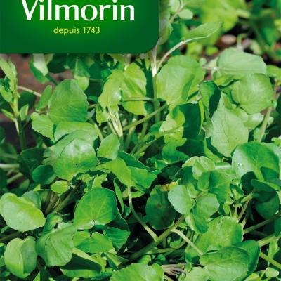 Tuinkers Grootbladige