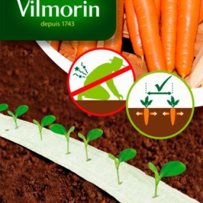 Zaailint Wortel 3 Variëteiten 3X2M