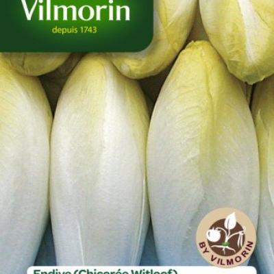 Witloof Crenoline Hf1 15g