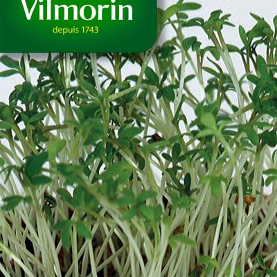 Tuinkers Gewone Alenois 50g