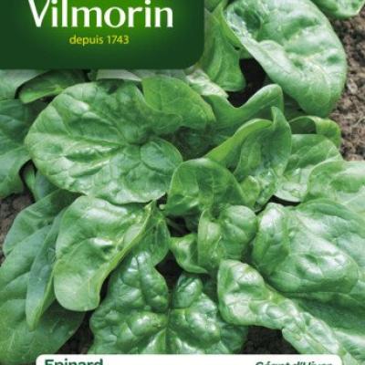 Spinazie Winterreuzen 50g