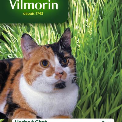 Kattengras Gerst 50g
