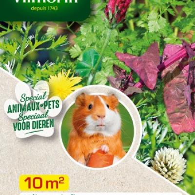 Mengsel voor Cavia's 10m²