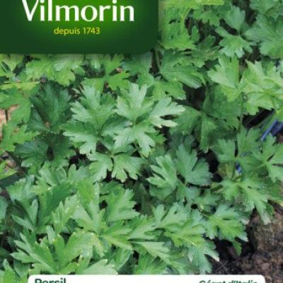 Peterselie Italiaanse Reuzen 15g